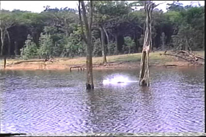 Image Image